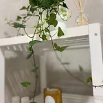 Apartman Casa Mina *